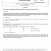 SAE AMSP21600 Revision A