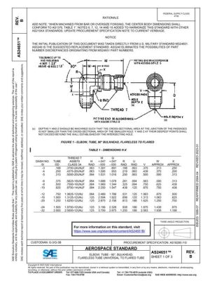 SAE AS24651B